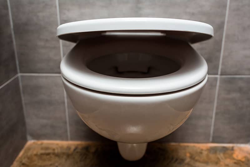 toilet-not-flushing-2
