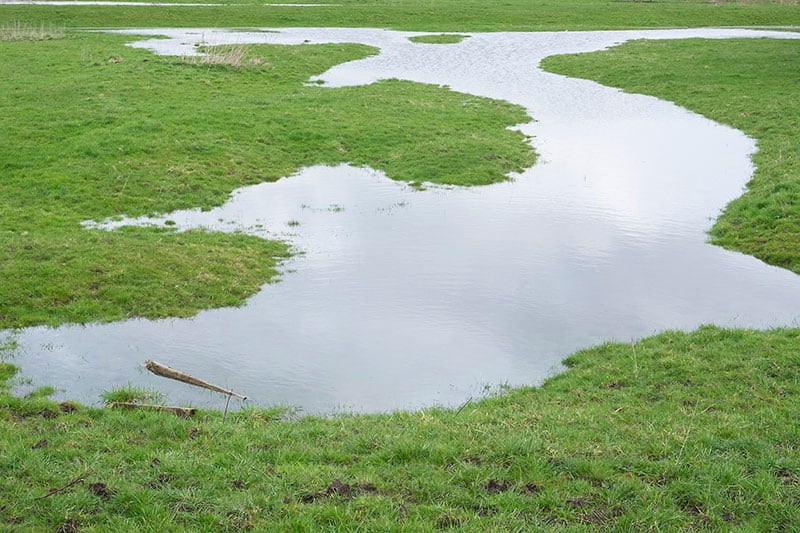 water-pooling-in-yard-2