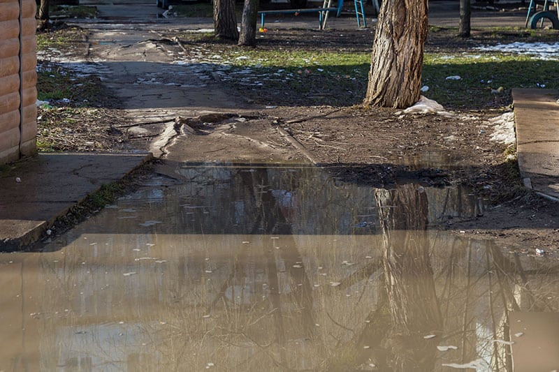 water-pooling-in-yard-3